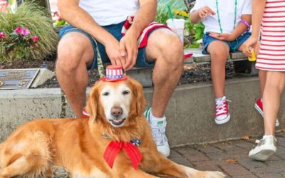 The Secret to Handling Fraidy Cats and Nervous Doggos This July 4th