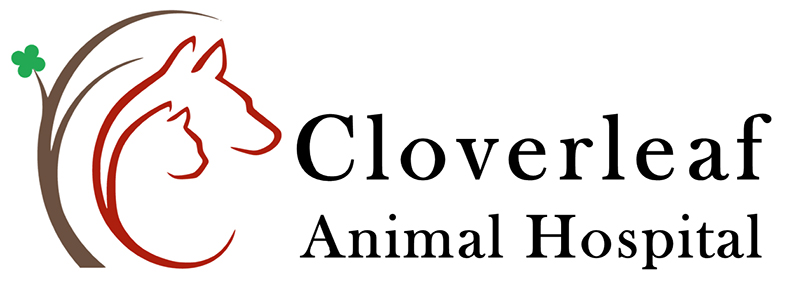Cloverleaf Animal Hospital Logo