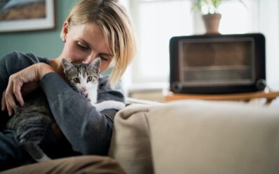 Guiding Your Pet’s Anxiety: 5 Effective Steps